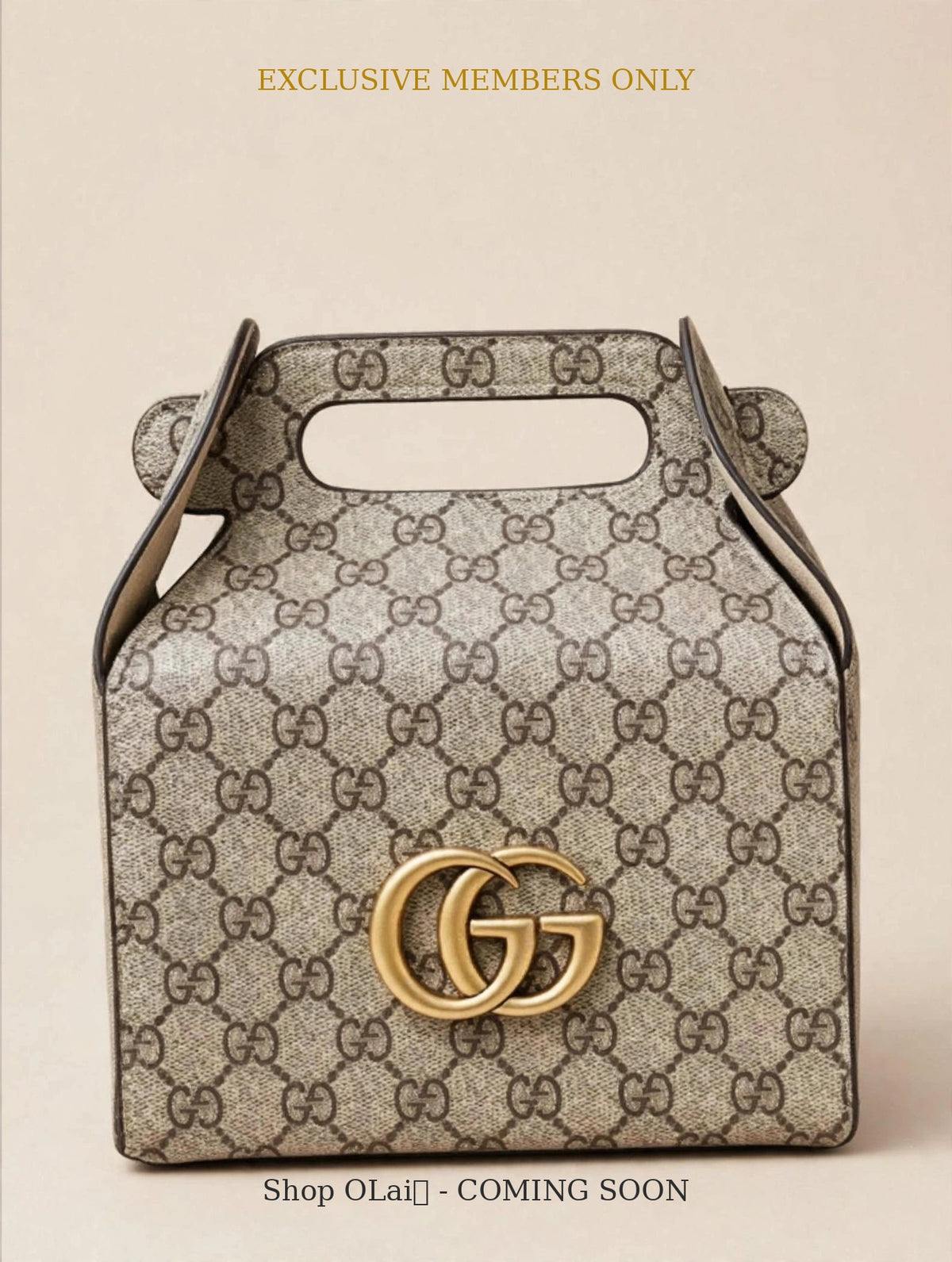 Luxury Inspired Gg lunch bag